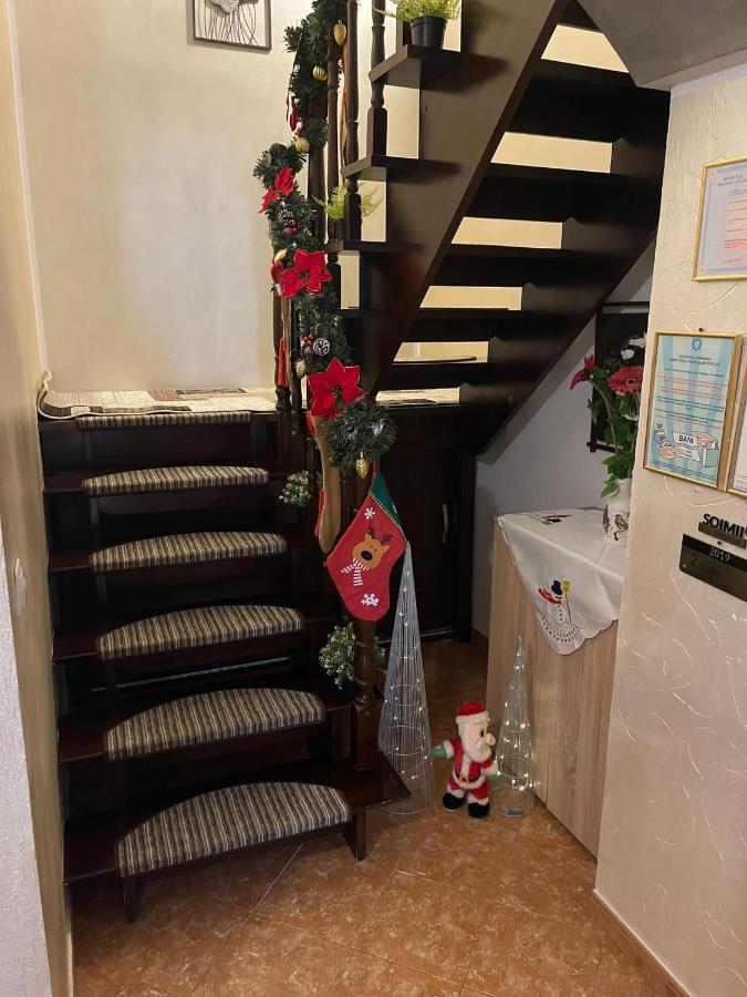 Penzion Casa Cu Pitici Vama  Exteriér fotografie