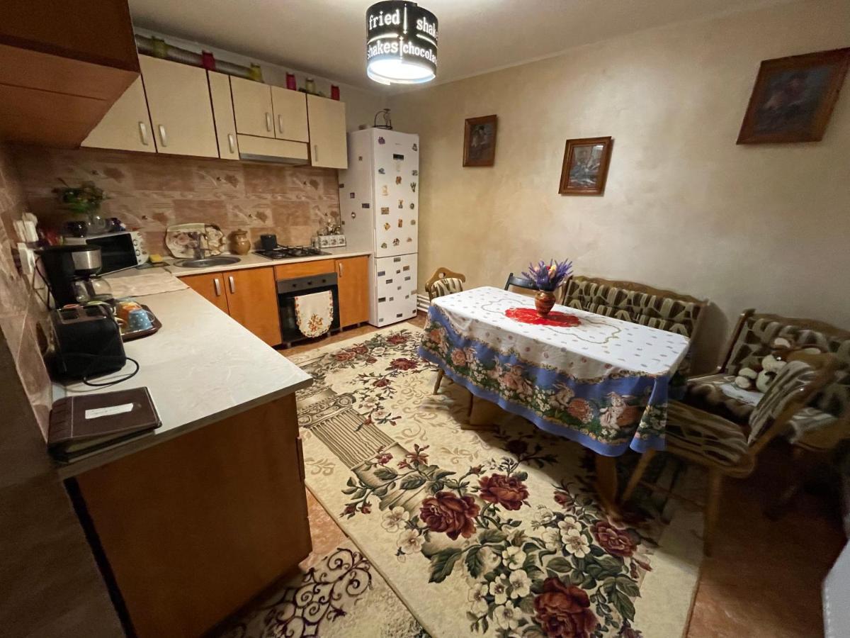 Penzion Casa Cu Pitici Vama  Exteriér fotografie