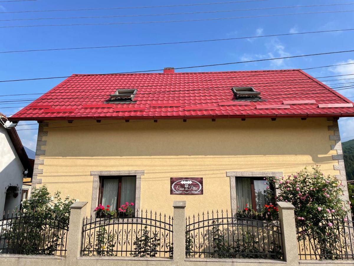 Penzion Casa Cu Pitici Vama  Exteriér fotografie