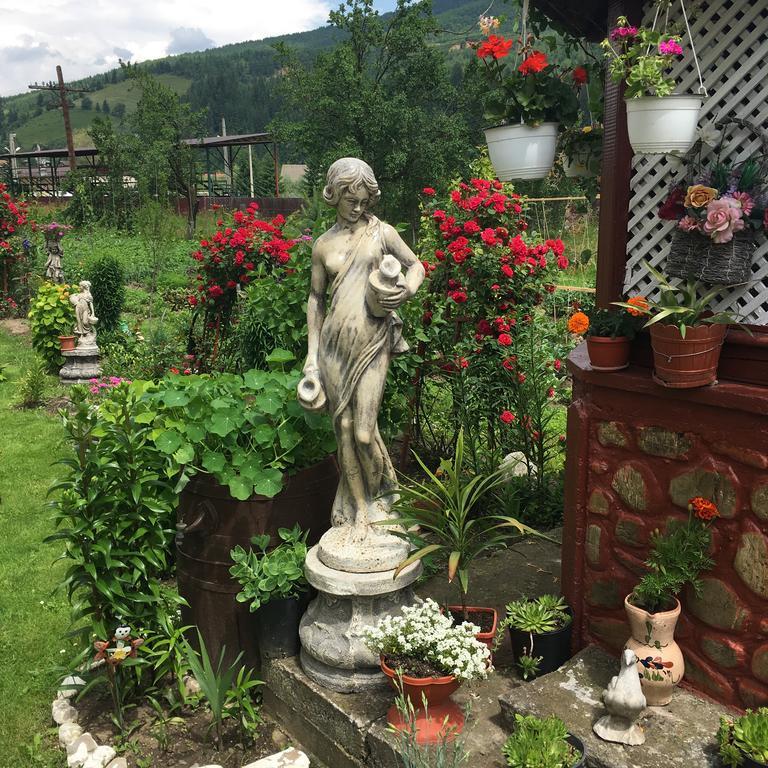 Penzion Casa Cu Pitici Vama  Exteriér fotografie