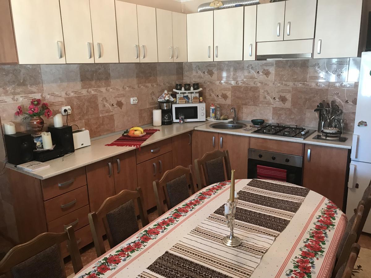 Penzion Casa Cu Pitici Vama  Exteriér fotografie