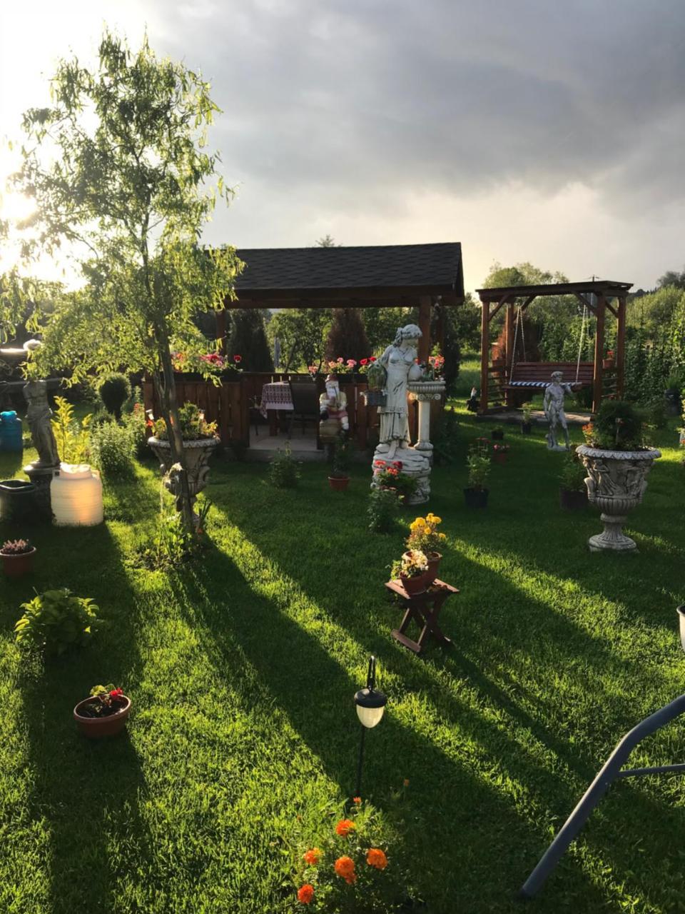 Penzion Casa Cu Pitici Vama  Exteriér fotografie
