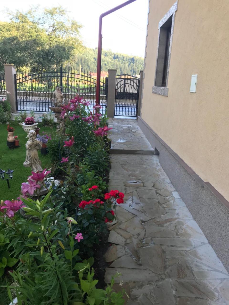 Penzion Casa Cu Pitici Vama  Exteriér fotografie