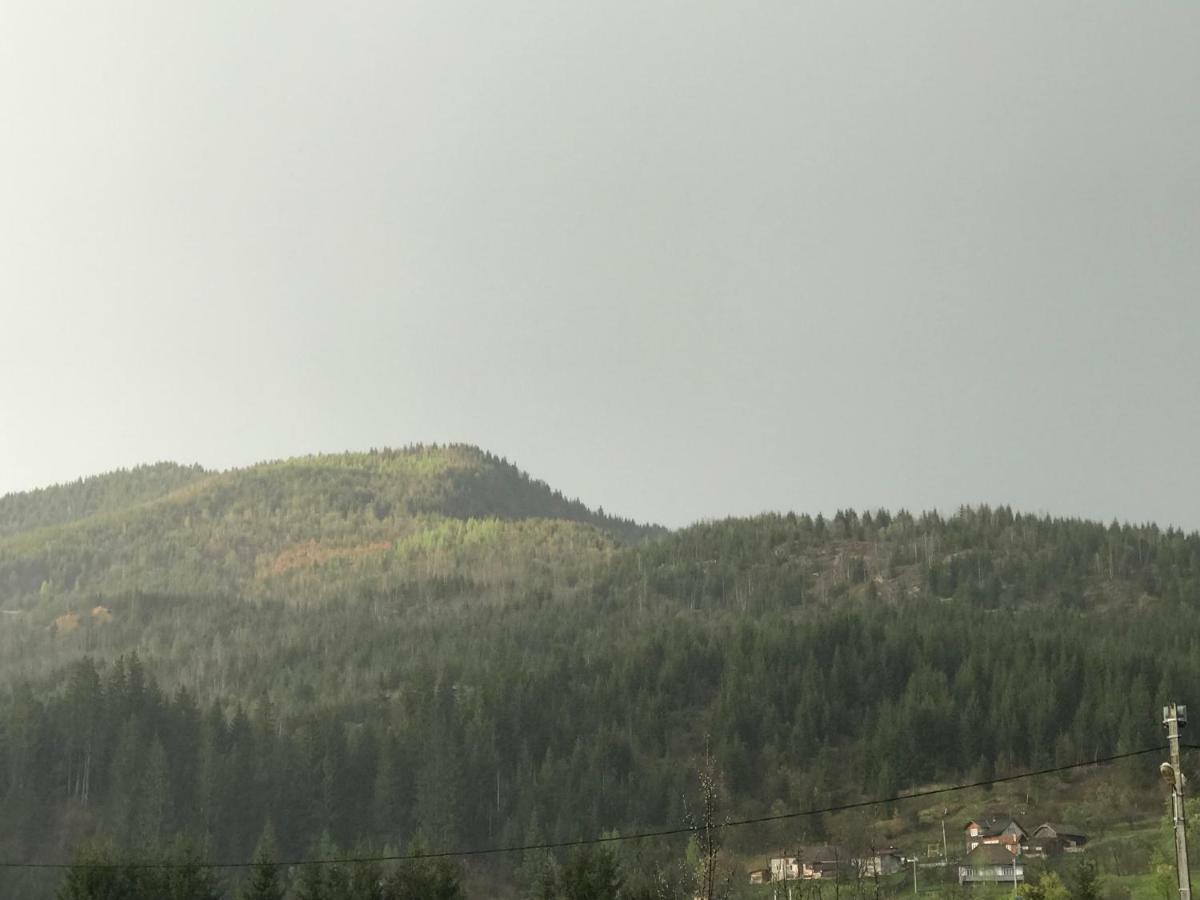 Penzion Casa Cu Pitici Vama  Exteriér fotografie